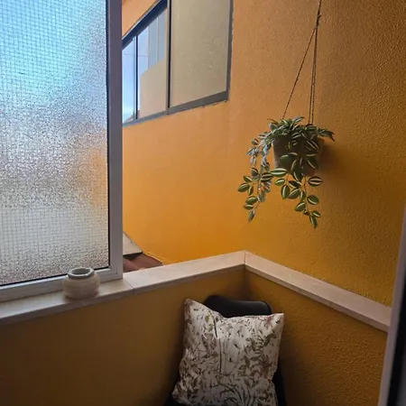 Daire October Nest *